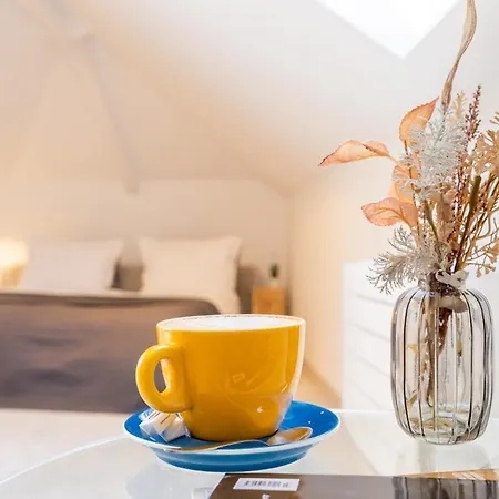 Musala N 06 Lejlighed Varna